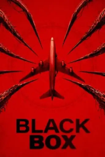 Black Box (2025) poster