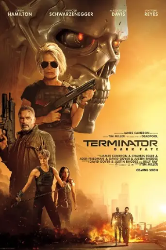 Terminator: Dark Fate (2019) poster
