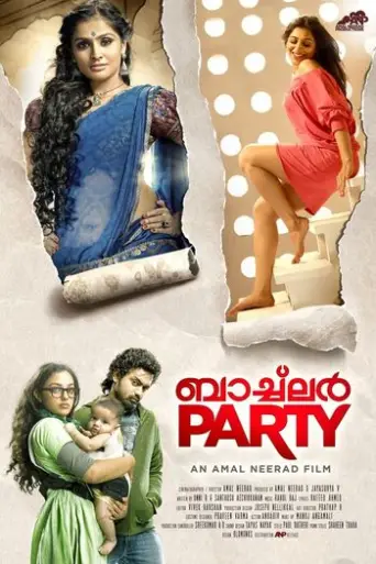 Bachelor Party (2012) UNCUT poster