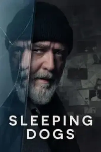 Sleeping Dogs (2024) poster