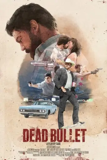 Dead Bullet (2016) WEB-HDRip [Hindi DD2.0 & Engli… poster