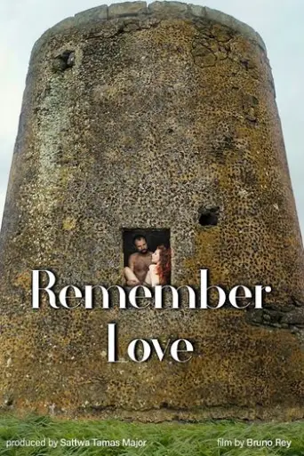 [18+] Remember Love (2020) Hindi poster