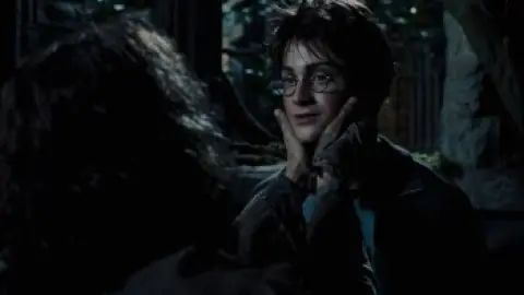 Harry.Potter.and.the.Prisoner.of.Azkaban.2004-02_04_00_20.th.jpg