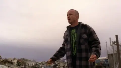 Download Download Breaking Bad Season 5 Hindi Dubbed HDRip ALL Episodes
