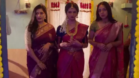 Download Save the Tigers (Season 2) Hindi Dubbed HDRip Full Series