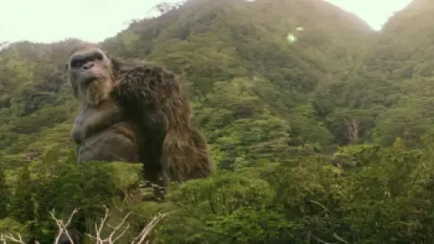 Download Godzilla vs. Kong (2021) Hindi Dubbed BluRay Full Movie
