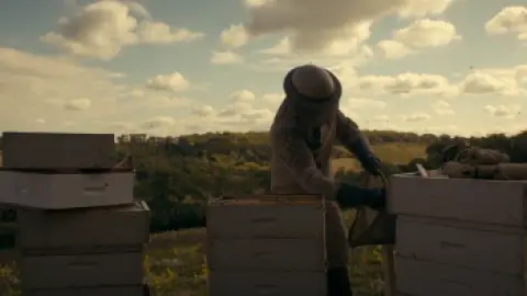 Download The Beekeeper (2024) Hindi Dubbed BluRay Full Movie