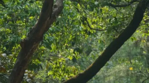Shastry.Virudh.Shastry.2023.1080p.WEB-DL.5.1.ESub.x264-HDHub4u.Tv.mkv.0001.th.jpg