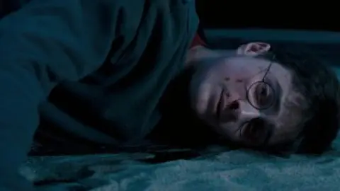 Harry-Potter-and-the-Order-of-the-Phoenix-2007-02_02_26_14.th.jpg